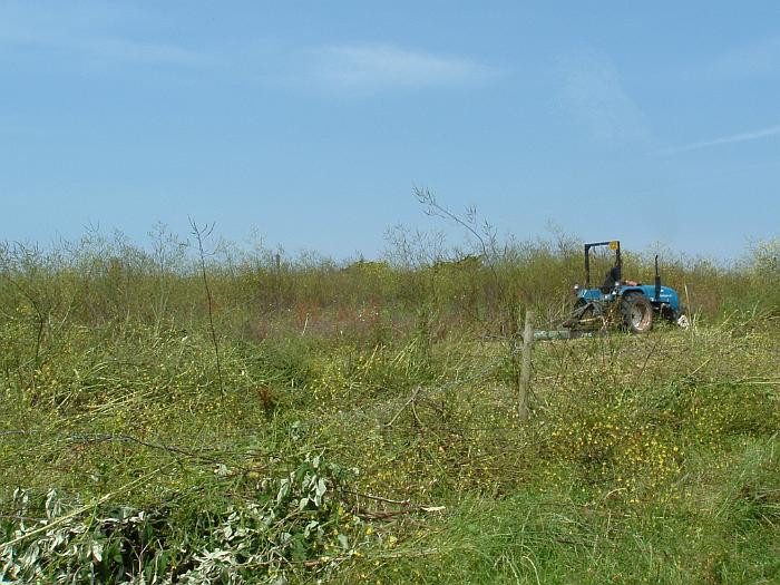 2 Clearing the Field (11)
